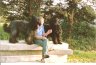 briards-chi-anou-ger.jpg - 